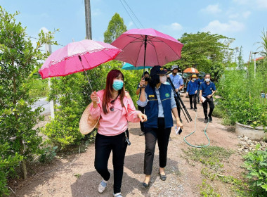 สำนักงานสหกรณ์จังหวัดปทุมธานีลงพื้นทีตรวจเยี่ยมสมาชิกสหกรณ์การเช่าซื้อที่ดินธัญบุรี จำกัด ... พารามิเตอร์รูปภาพ 8