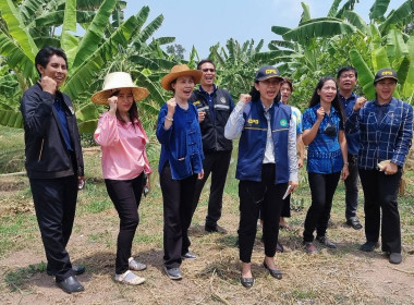 สำนักงานสหกรณ์จังหวัดปทุมธานีลงพื้นทีตรวจเยี่ยมสมาชิกสหกรณ์การเช่าซื้อที่ดินธัญบุรี จำกัด ... พารามิเตอร์รูปภาพ 12