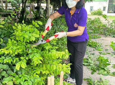 กิจกรรมปลูกต้นไม้ และกิจกรรม Big Cleaning day 5 ส. พารามิเตอร์รูปภาพ 4