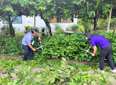 กิจกรรมปลูกต้นไม้ และกิจกรรม Big Cleaning day 5 ส. พารามิเตอร์รูปภาพ 7