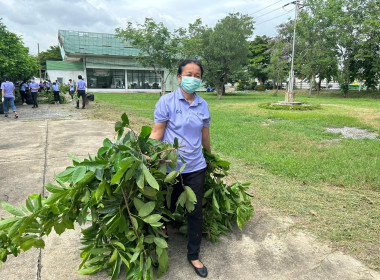 กิจกรรมปลูกต้นไม้ และกิจกรรม Big Cleaning day 5 ส. พารามิเตอร์รูปภาพ 10