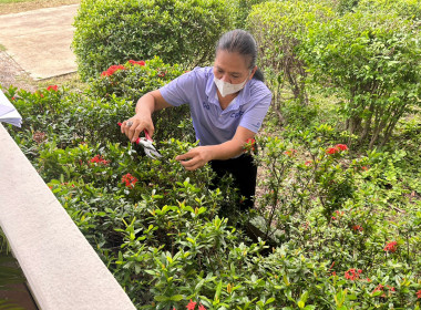 กิจกรรมปลูกต้นไม้ และกิจกรรม Big Cleaning day 5 ส. พารามิเตอร์รูปภาพ 12