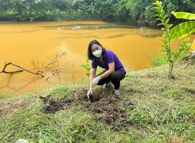 กิจกรรมปลูกต้นไม้ และกิจกรรม Big Cleaning day 5 ส. พารามิเตอร์รูปภาพ 3