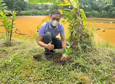 กิจกรรมปลูกต้นไม้ และกิจกรรม Big Cleaning day 5 ส. พารามิเตอร์รูปภาพ 5