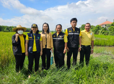 ลงพื้นที่เยี่ยมเยือนสมาชิกสหกรณ์การเกษตรคลองหลวง จำกัด พารามิเตอร์รูปภาพ 1