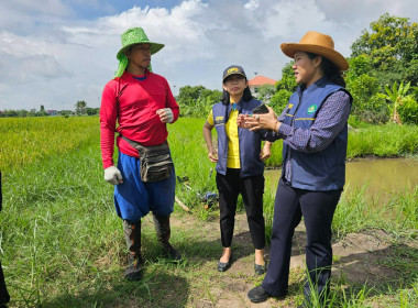 ลงพื้นที่เยี่ยมเยือนสมาชิกสหกรณ์การเกษตรคลองหลวง จำกัด พารามิเตอร์รูปภาพ 4