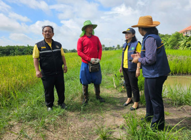 ลงพื้นที่เยี่ยมเยือนสมาชิกสหกรณ์การเกษตรคลองหลวง จำกัด พารามิเตอร์รูปภาพ 8