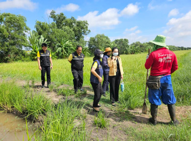 ลงพื้นที่เยี่ยมเยือนสมาชิกสหกรณ์การเกษตรคลองหลวง จำกัด พารามิเตอร์รูปภาพ 5