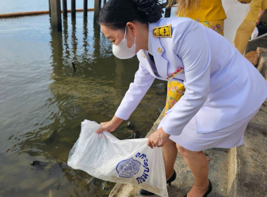 กิจกรรมเฉลิมพระเกียรติพระบาทสมเด็จพระเจ้าอยู่หัว ... พารามิเตอร์รูปภาพ 6