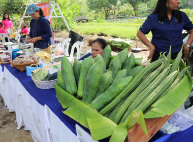 กิจกรรม “โครงการรณรงค์ลดต้นทุนการผลิตโดยใช้ปุ๋ยอินทรีย์” พารามิเตอร์รูปภาพ 26
