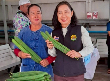 &quot; กิน อยู่ ดี &quot; ภายใต้แนวทาง ตลาดนำ นวัตกรรมเสริม ... พารามิเตอร์รูปภาพ 1