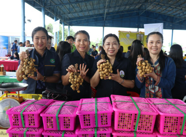โครงการคลินิกเกษตรเคลื่อนที่ ในพระราชานุเคราะห์ ... พารามิเตอร์รูปภาพ 5