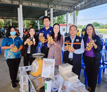เชื่อมโยงเครือข่ายสินค้าเกษตร สู่ผู้บริโภค ณ ... พารามิเตอร์รูปภาพ 1