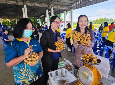 เชื่อมโยงเครือข่ายสินค้าเกษตร สู่ผู้บริโภค ณ ... พารามิเตอร์รูปภาพ 2