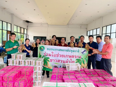 กระจายลำไยสดช่อ ช่วยยกระดับราคาให้สูงขึ้น พารามิเตอร์รูปภาพ 1