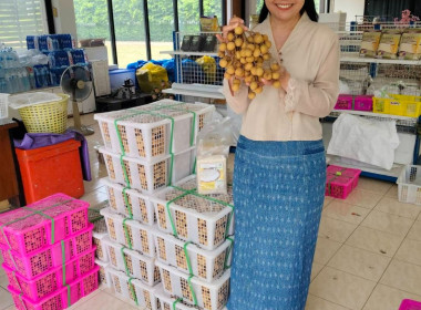 กระจายลำไยสดช่อ ช่วยยกระดับราคาให้สูงขึ้น พารามิเตอร์รูปภาพ 9