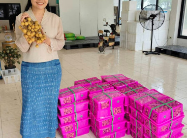 กระจายลำไยสดช่อ ช่วยยกระดับราคาให้สูงขึ้น พารามิเตอร์รูปภาพ 2