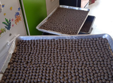 ปั้นดิน สร้างรายได้ สหกรณ์เคหสถานปทุมโมเดล จำกัด พารามิเตอร์รูปภาพ 6