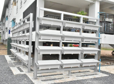 ปั้นดิน สร้างรายได้ สหกรณ์เคหสถานปทุมโมเดล จำกัด พารามิเตอร์รูปภาพ 2